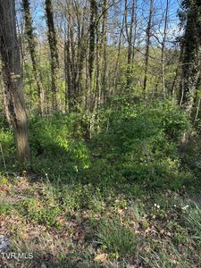 LOT 16 Ashley St, Kingsport, TN, 37664