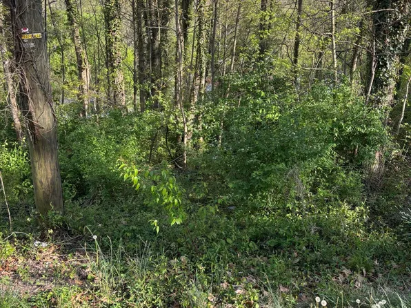 LOT 16 Ashley St, Kingsport, TN 37664