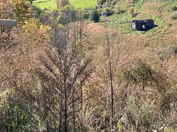 Cooks Mountain Rd, Cleveland, VA 24225