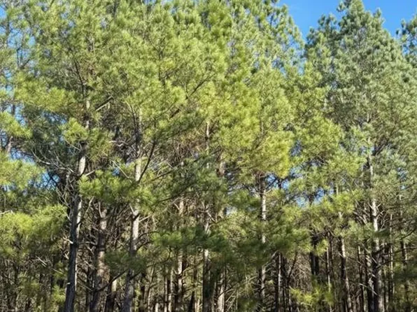 3 Sugarberry Trl Lot 3, Broken Bow, OK 74728