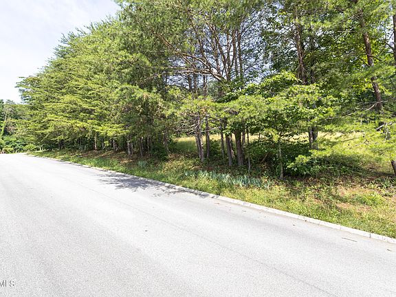 3rd image of LOT 34 Pioneer Dr