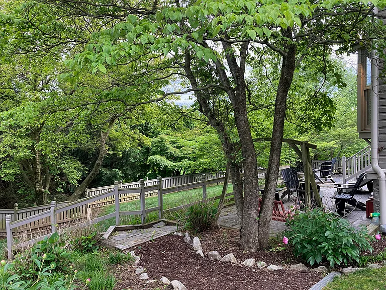 backyard pathway leading to the patios