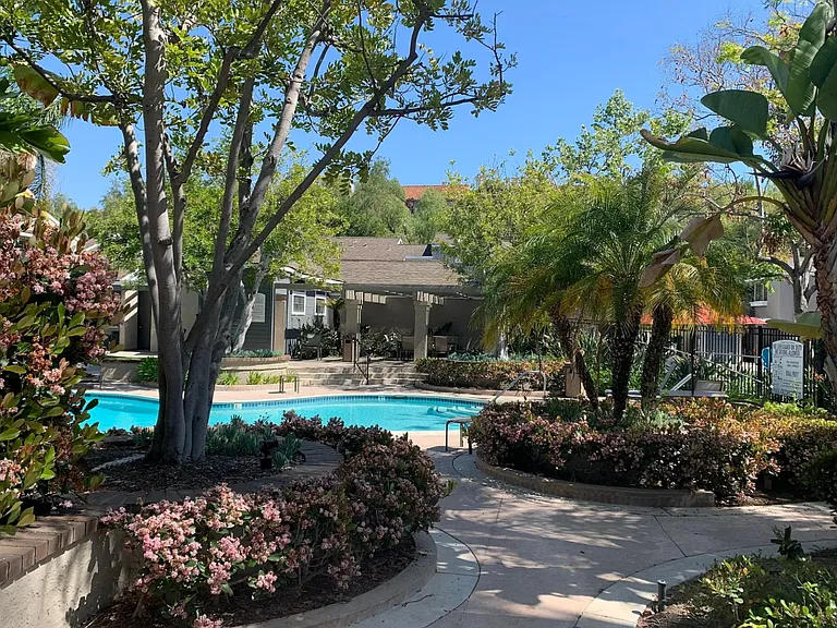 24401 Avenida De Los Ninos — Photo 13