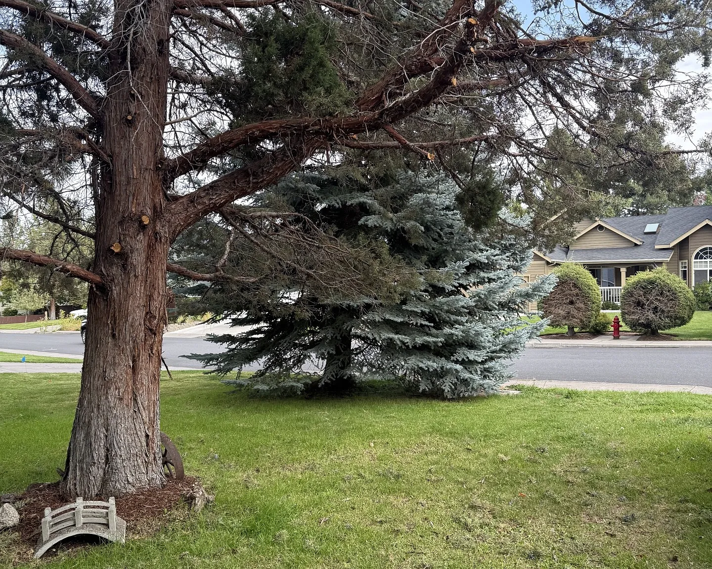 3 bed, 2.5 bath, 1749 sqft, $2,950 — Photo 2