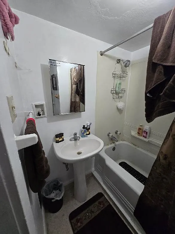1 bed, $800 — Photo 3