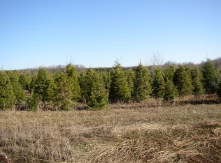 1 Eleven Mile Rd, Bear Lake, MI 49614