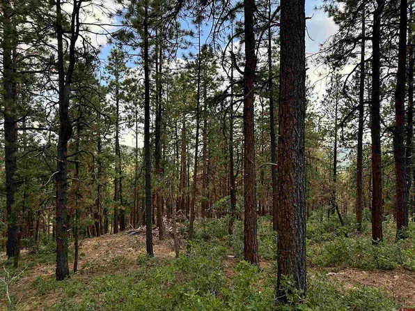 319 Hillside Circle, Bayfield, CO 81122
