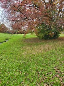 942 Pickard Ave, Cookeville, TN, 38501