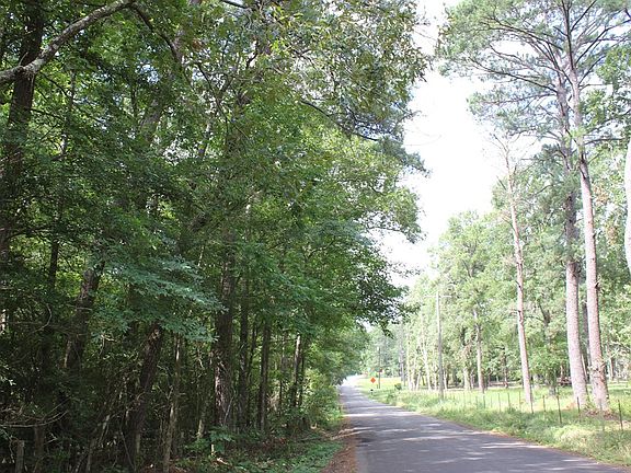 2nd image of Pid 11666 Barnum Loop