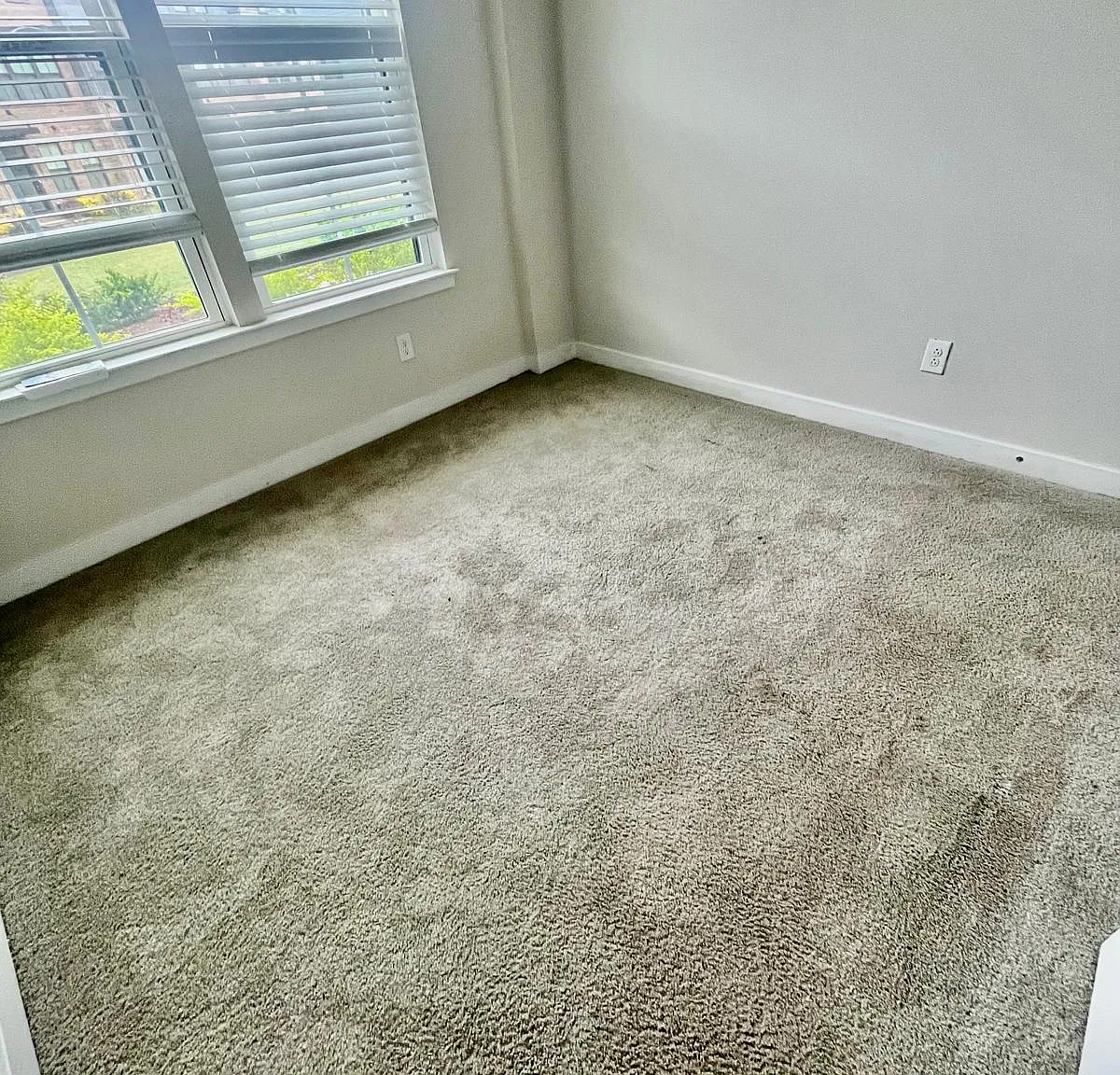 3131 Coquina Ln — Photo 4