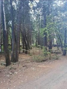 14507 Holmwood Dr, Magalia, CA, 95954