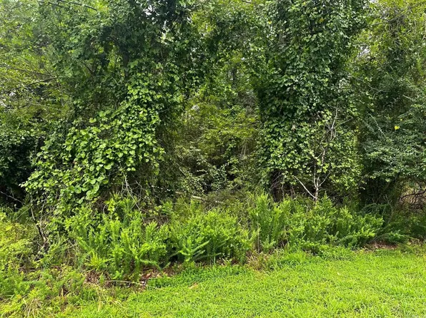 LOT 69 Cobalt Bay Dr Lot 69, Shirley, AR 72153