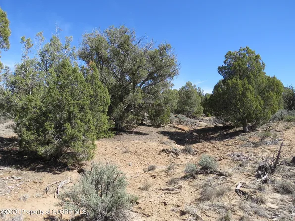 Nya Nm 511, Navajo Dam, NM 87419