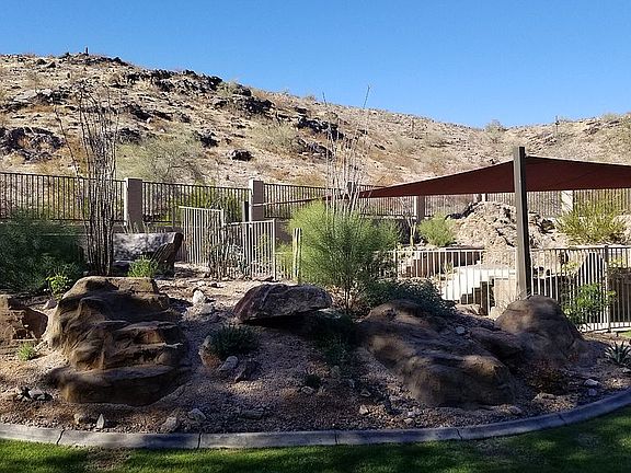 2nd image of 2401 E Desert Willow Dr