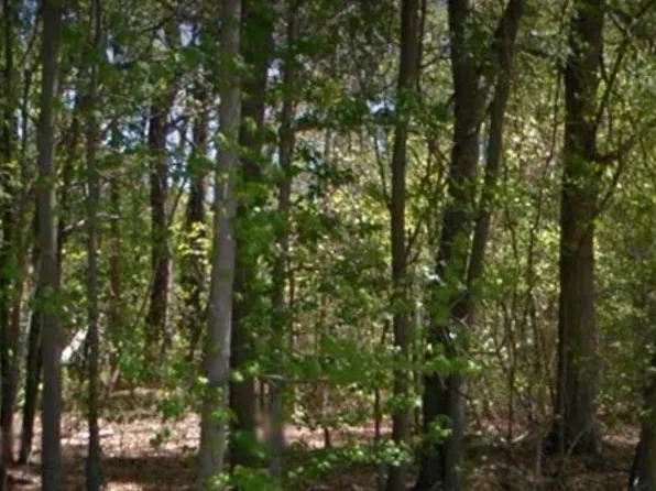 0 Vine St, Roanoke Rapids, NC 27870