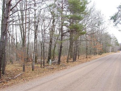 25 Acres on Mae West Road, Ladysmith, WI, 54848