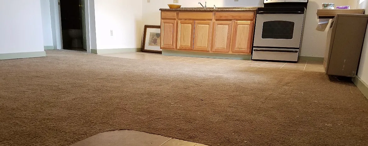 1 bed, 900 sqft, $975 — Photo 1