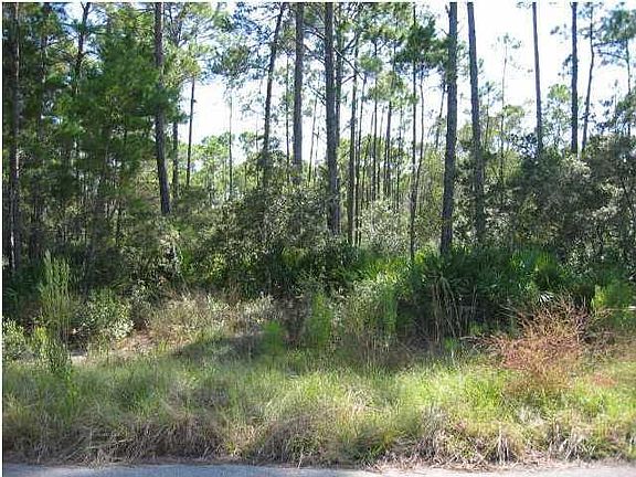 2nd image of 141 Bay Magnolia Ln