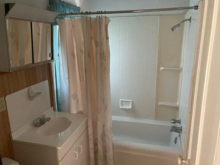 Bathroom tub and shower