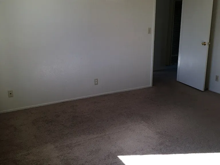 3153 Eucalyptus St — Photo 11
