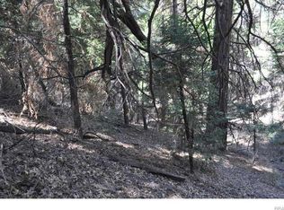 Coyote Trl, Cedarpines park, CA 92322