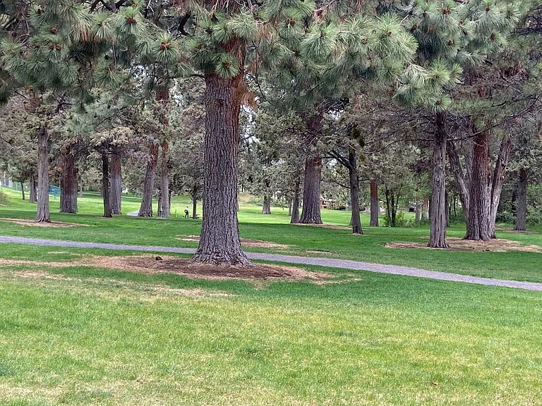 Juniper park out your front door
