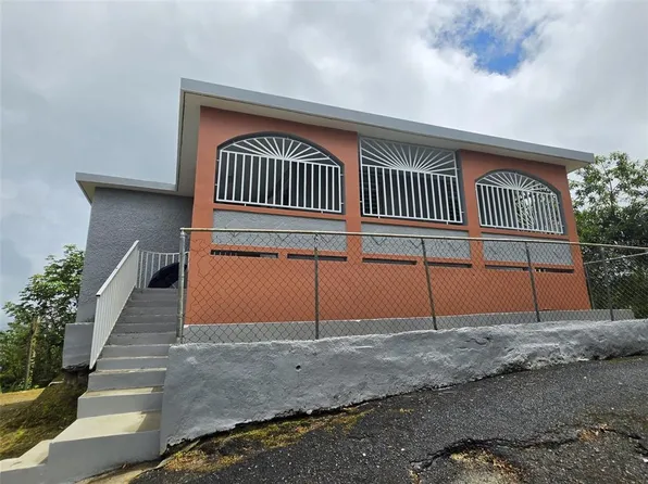 PR 9920 QUEBRADA ARENAS, SAN LORENZO, PR 00754