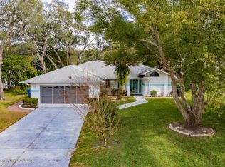 1208 Desmond Ave, Spring Hill, FL 34608