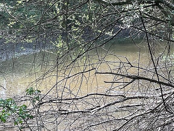 4th image of 267 Bluegoose Rd