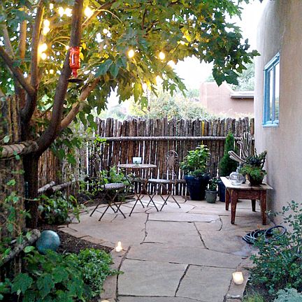 Evening in the patio