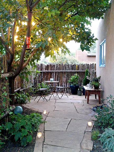Evening in the patio