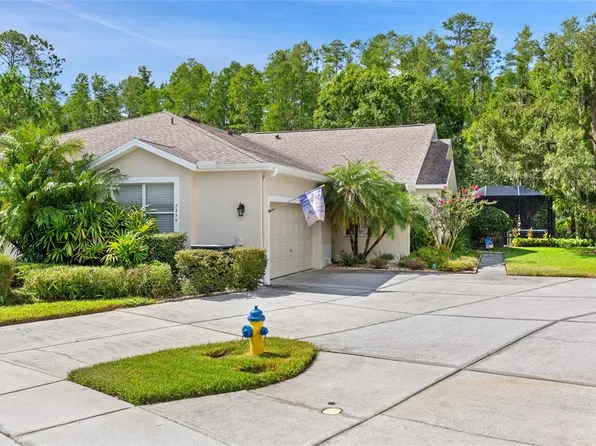 7239 Cleopatra Dr, Land O Lakes, FL 34637