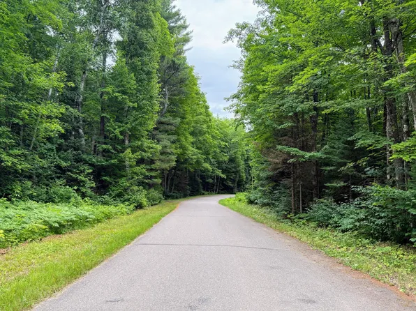 On Bearskull Rd, Park Falls, WI 54552