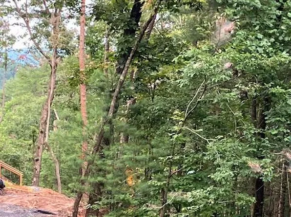 140 E Red Oak Trl, Ellijay, GA 30540