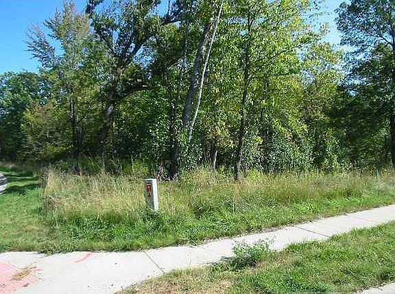 3rd image of 29394 Hidden Forest Blvd