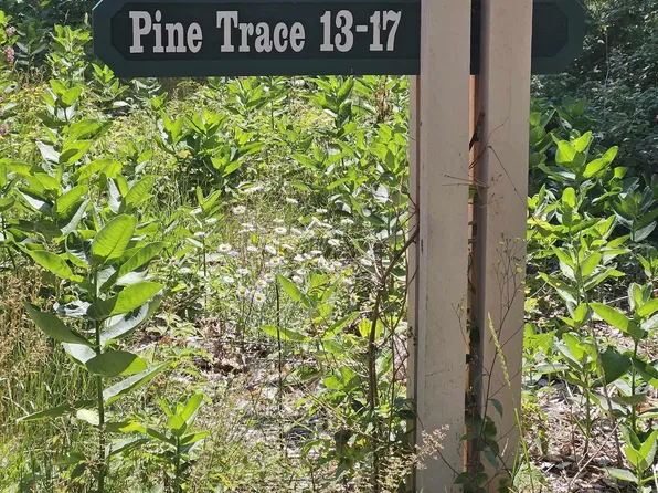15 Pine Trce, Glen Arbor, MI 49636