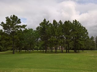 18850 Lake Pines Dr, Montgomery, TX 77356
