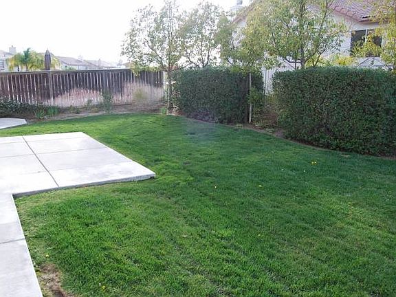 Landscaped Backyard