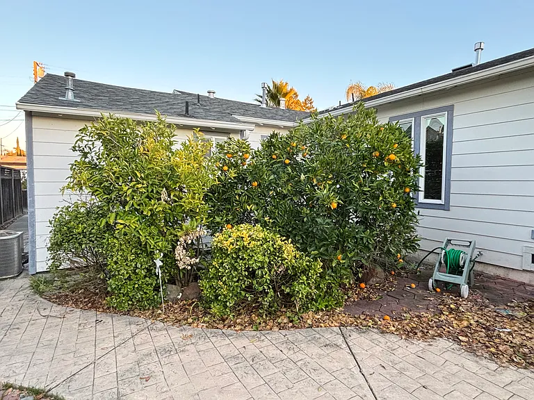 2019 Fir St — Photo 2