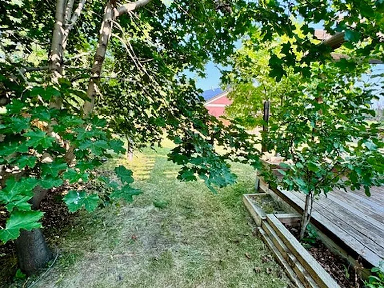 4020 Annie St — Photo 60