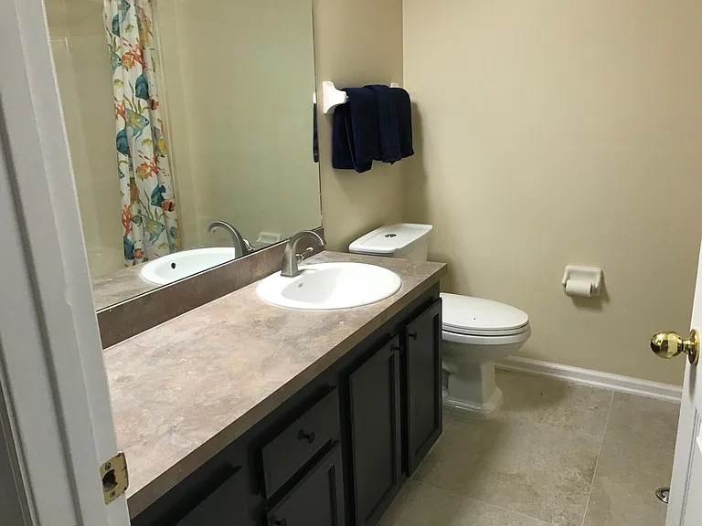 617 Southern Lily Dr — Photo 15