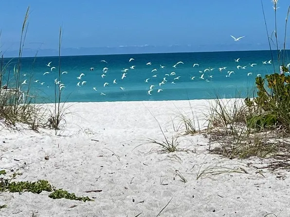 843 Bayport Way, Longboat Key, FL 34228