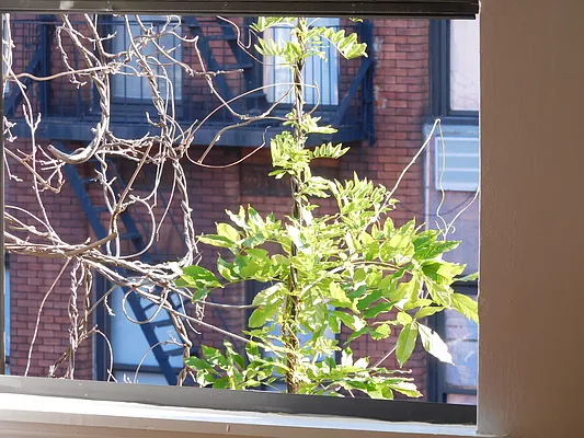 Rented by Renetta Real Estate | media 44