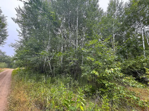 10046 Legionville Rd, Brainerd, MN 56401