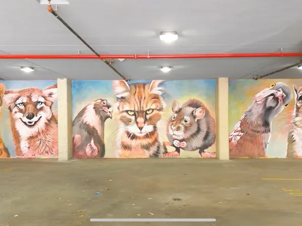 880 Rogers Avenue image 21 of 22