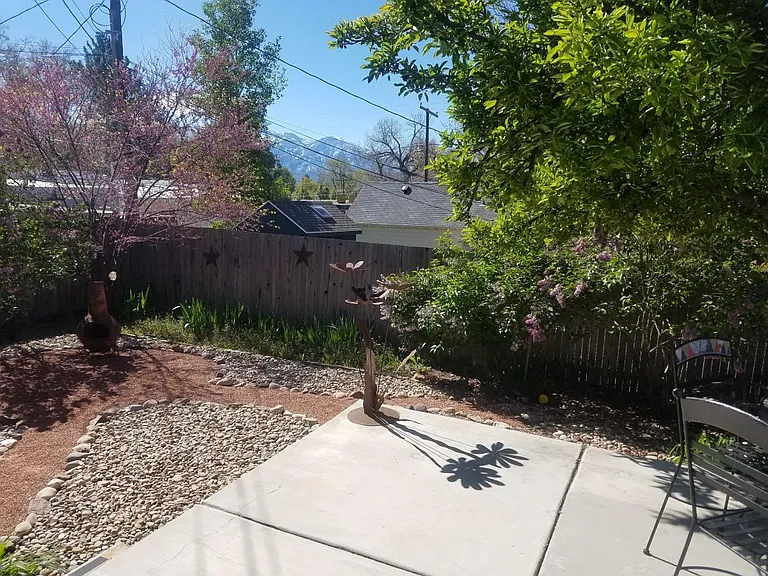 Back yard