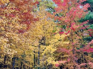 LOT 33 S Badger Ct, Arkdale, WI 54613