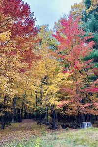 LOT 33 S Badger Ct, Arkdale, WI, 54613