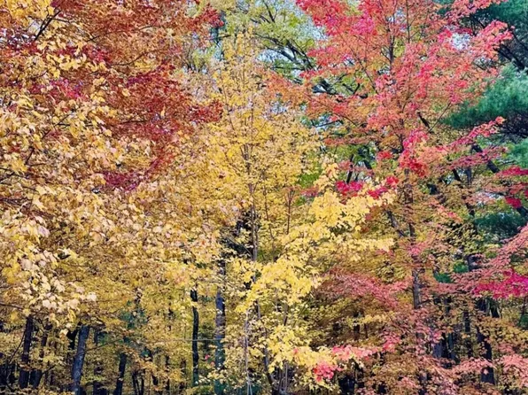 LOT 33 S Badger Ct, Arkdale, WI 54613