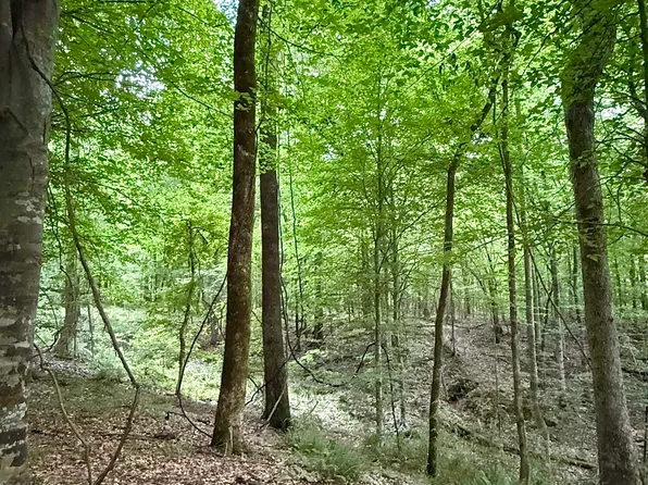 8145 Gordon Station Rd, Port Gibson, MS 39150